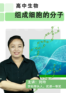 组成细胞的分子