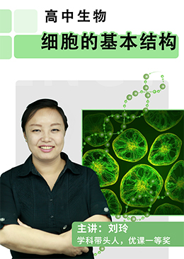 细胞的基本结构