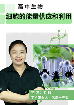 细胞的能量供应和利用