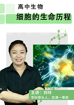 细胞的生命历程