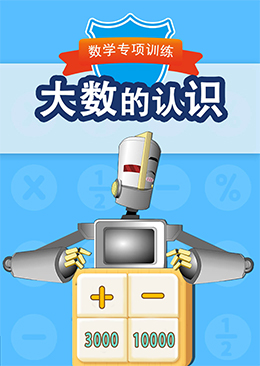 大数的认识
